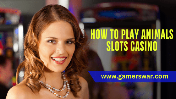 How to Play Animals Slots Casino