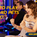 how to play Pyramid Pets Casino