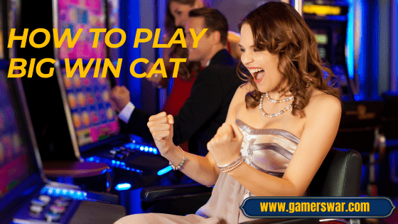 how to play Big Win Cat